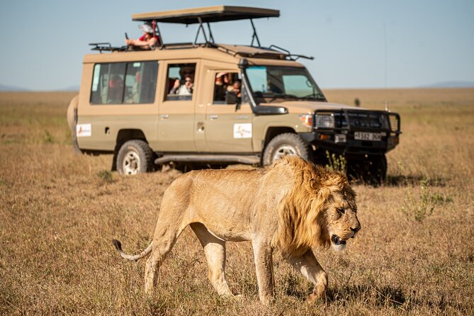 Tourism campaign